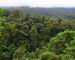 Rain forest in Braulio Carillo National Park